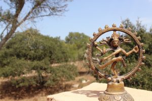 73 Yoga HallShiva copia